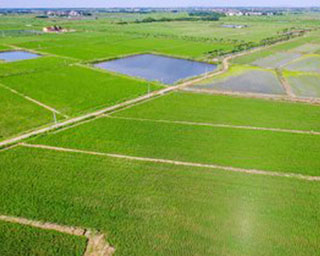 農業數智化助力特色農產品生產提&ldquo;智&rdquo;增效